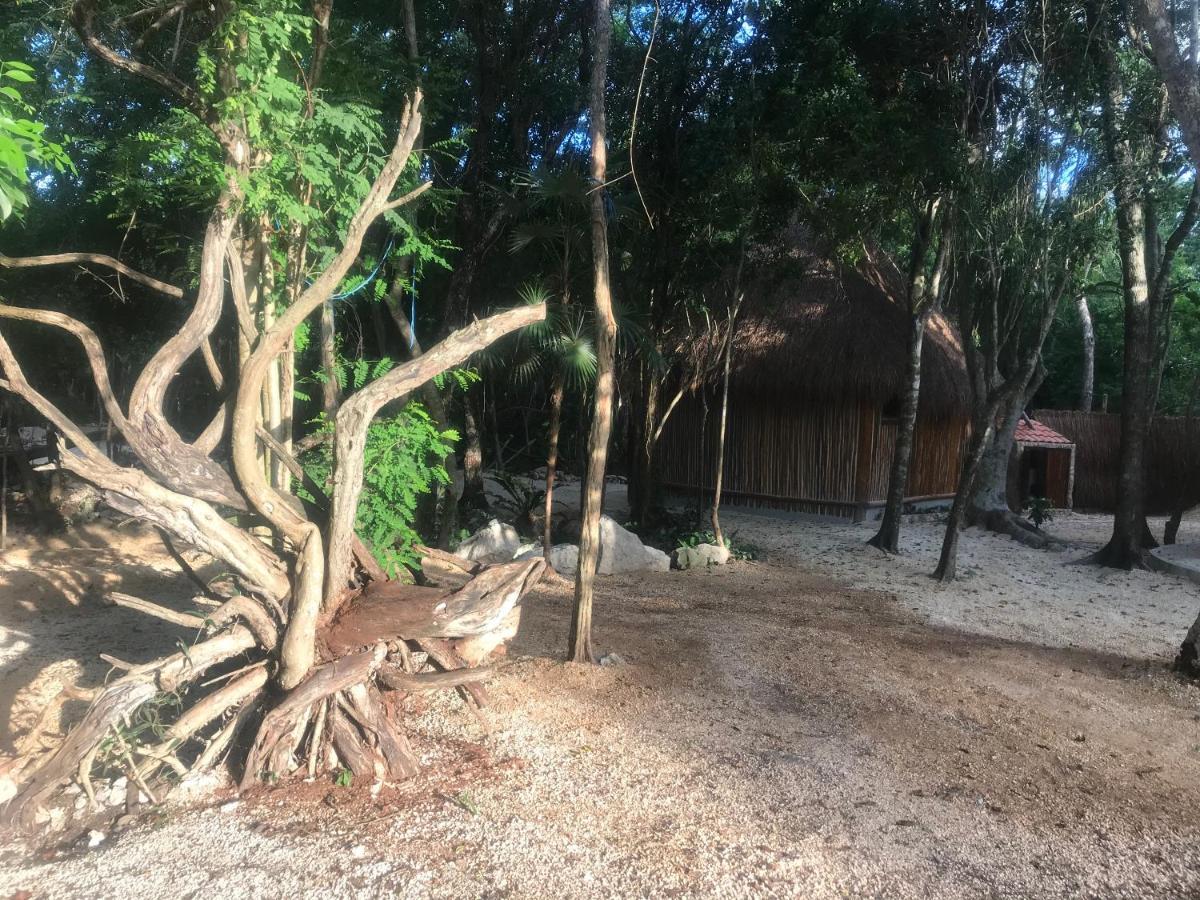Готель Tulum Nueve Екстер'єр фото