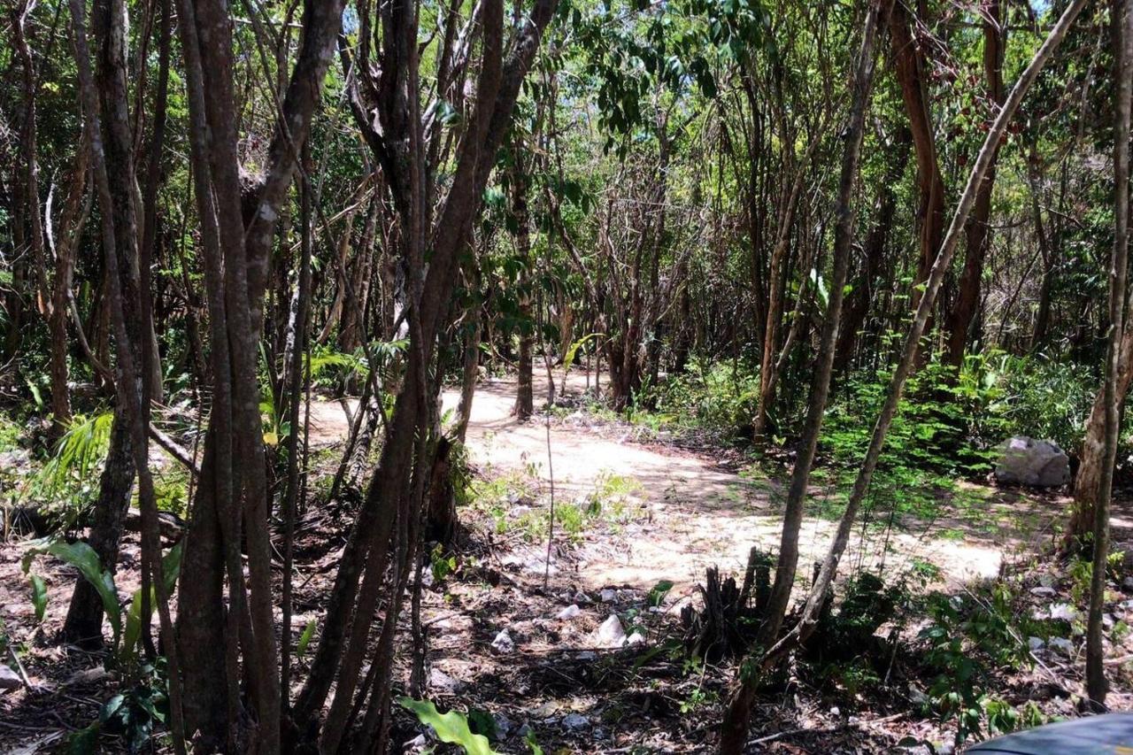 Готель Tulum Nueve Екстер'єр фото