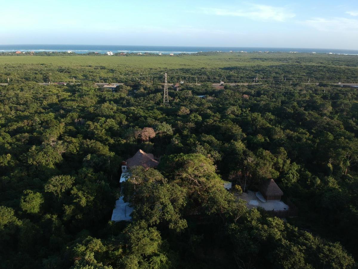 Готель Tulum Nueve Екстер'єр фото