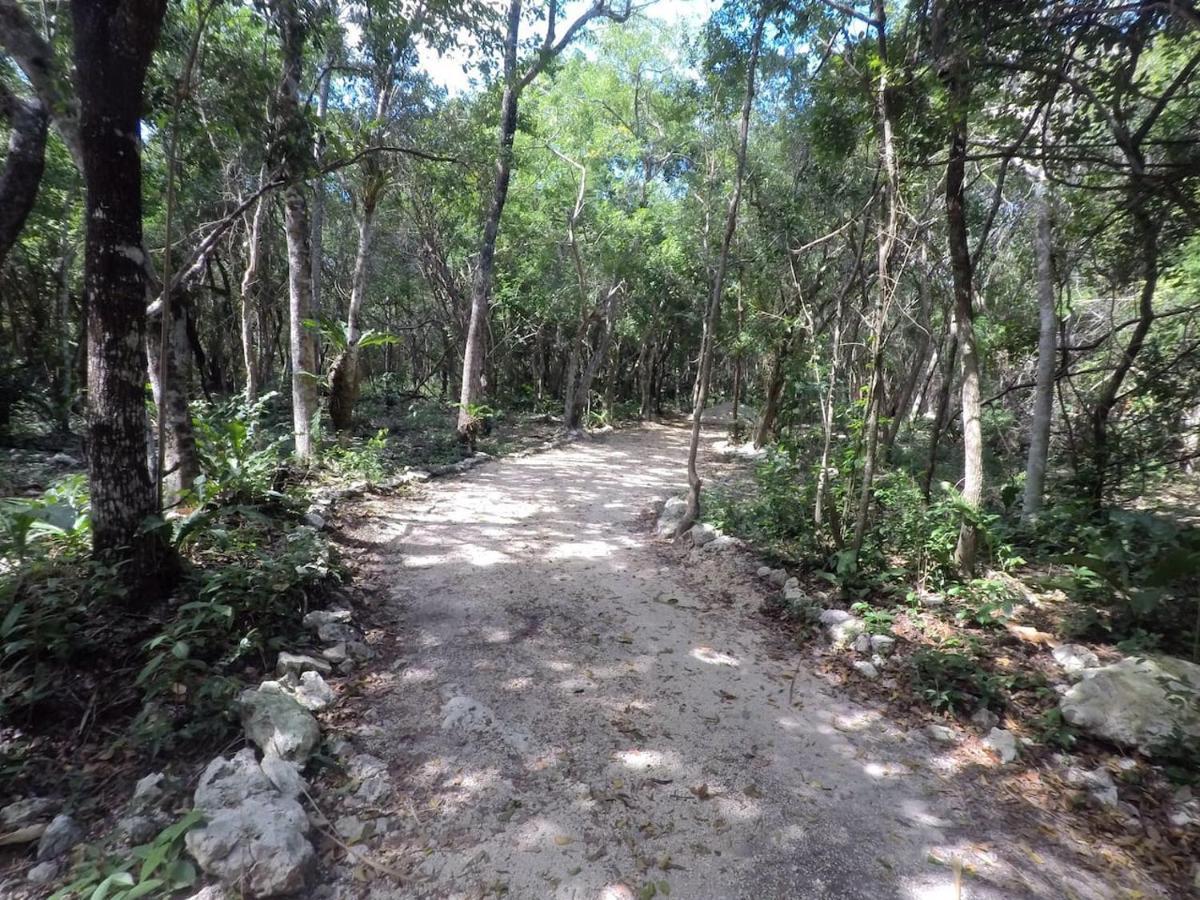 Готель Tulum Nueve Екстер'єр фото