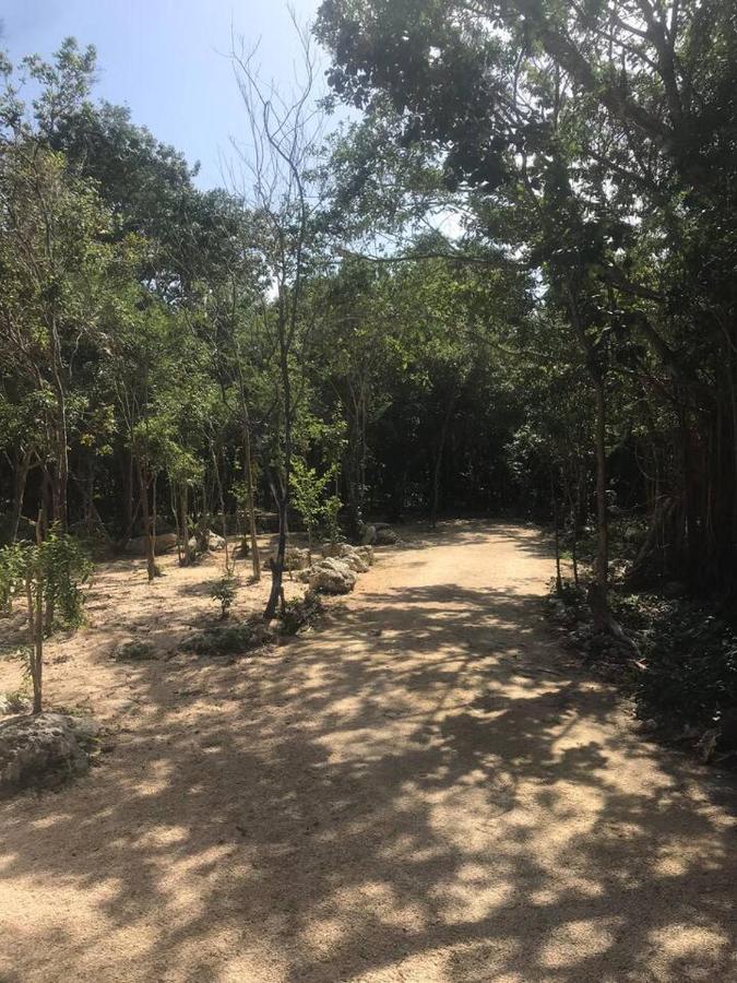 Готель Tulum Nueve Екстер'єр фото