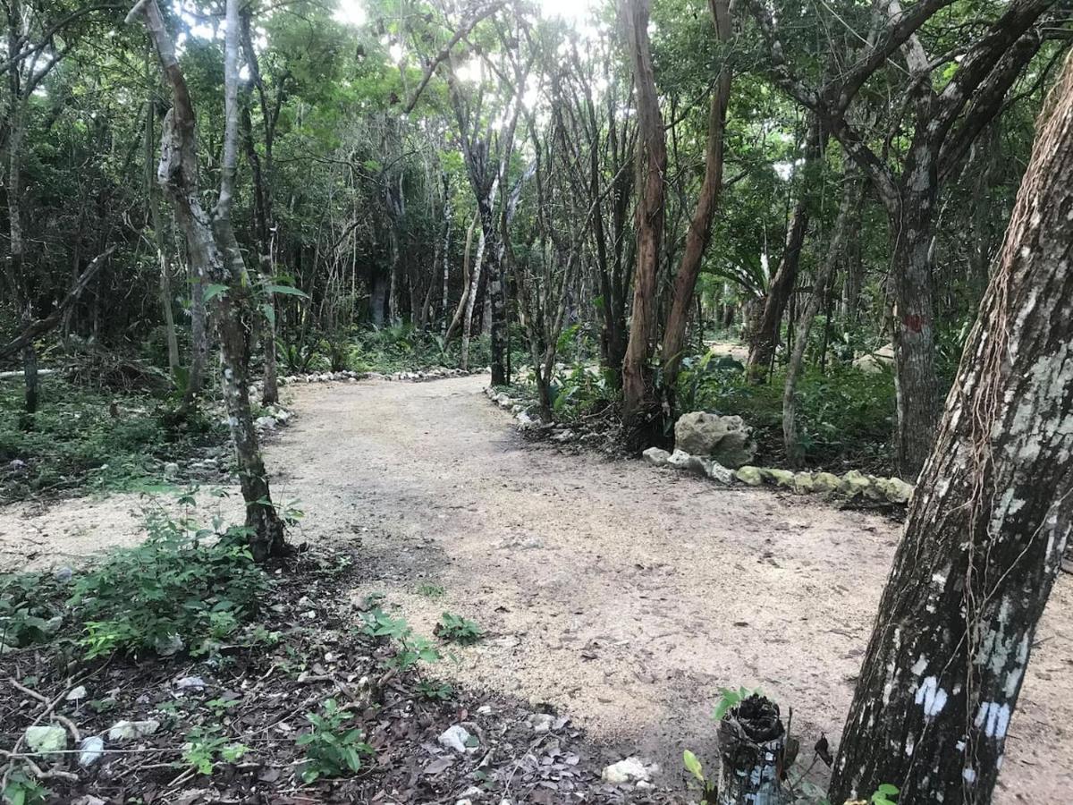 Готель Tulum Nueve Екстер'єр фото